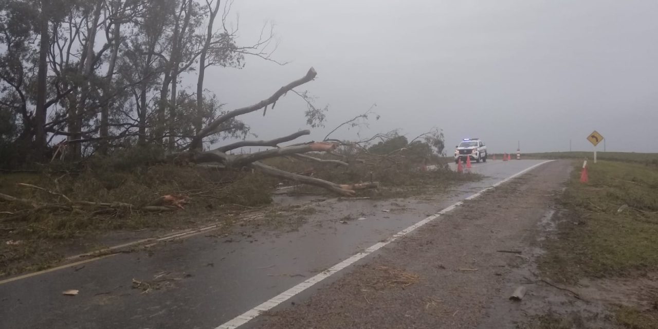 Rutas de acceso a Cerro Largo se encuentran obstruidas tras temporal de esta madrugada