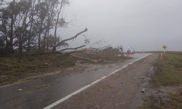 Rutas de acceso a Cerro Largo se encuentran obstruidas tras temporal de esta madrugada