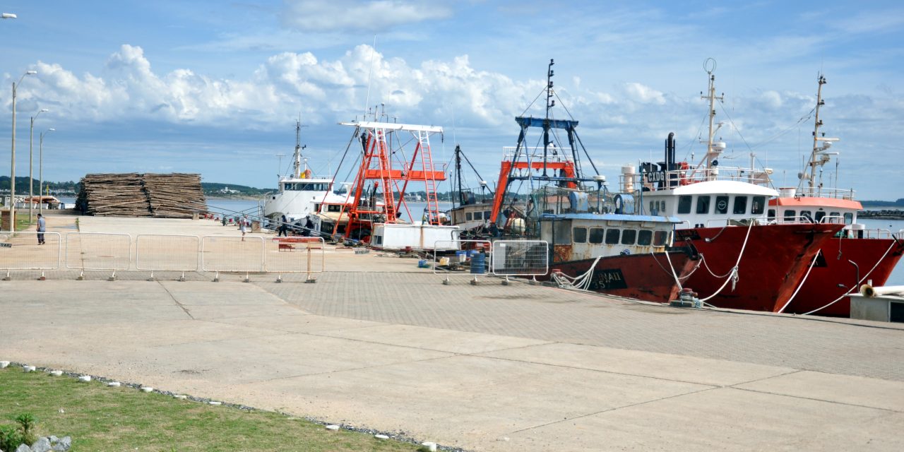 Comenzó la temporada de pesca de anchoa en el puerto de La Paloma