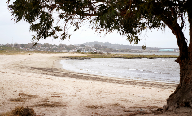 El cuerpo de un hombre semicalcinado apareció en una playa de Montevideo