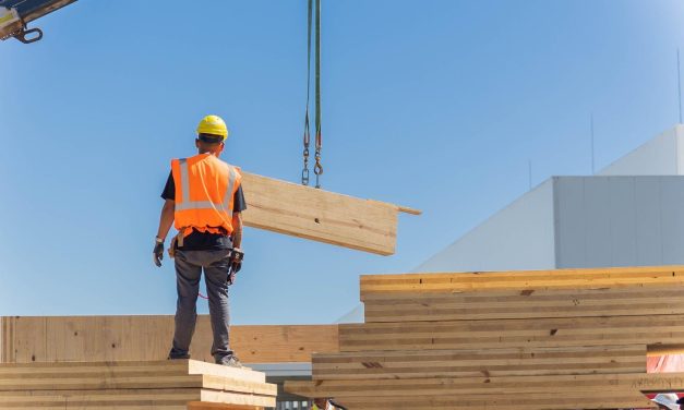 Proyecto para construcción de viviendas de madera genera diferencias entre bancada oficialista y subsecretario del MVOT