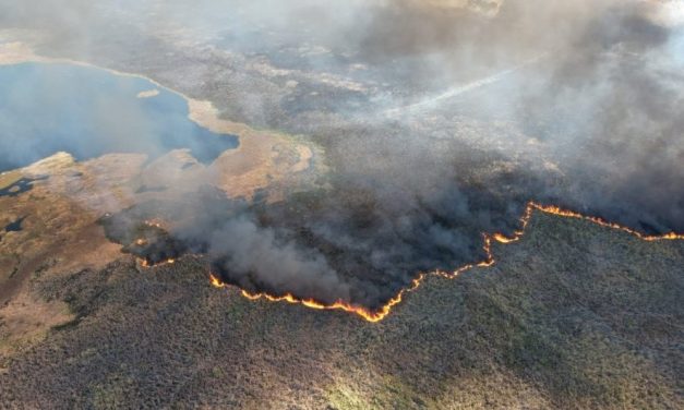 Incendio en Laguna del Diario fue extinguido, ¿por qué no intervino el helicóptero de la Fuerza Aérea?