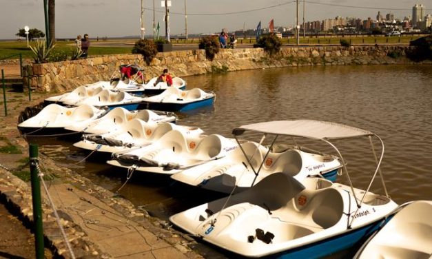 Asesinaron de varias puñaladas a un hombre en el lago del Parque Rodó