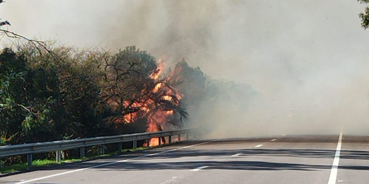 Incendio en campo de Rocha afecta visibilidad en ruta 9