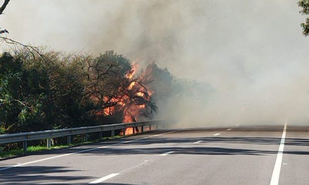 Incendio en campo de Rocha afecta visibilidad en ruta 9