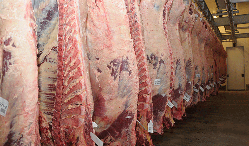 Luego de tres años Uruguay exportará carne a México: fueron habilitados 22 frigoríficos