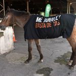 IMM percibe aumento de carros tirados por caballos y 800 recolectores esperan para cambiar por motocarros