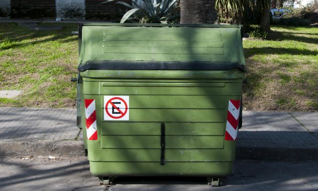 IMM continúa reubicación de contenedores en Pocitos: mirá dónde están ahora