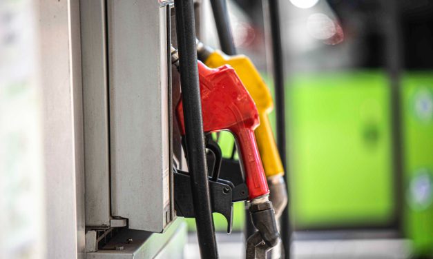 Combustibles: Ursea proyecta suba en el precio de la nafta y una baja en el gasoil
