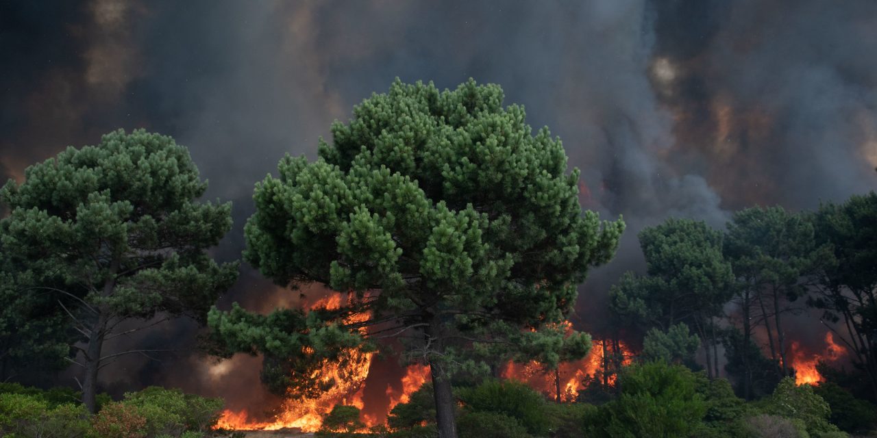 Por seis meses estarán prohibidas las quemas al aire libre; en 2022 el fuego afectó 26.000 hectáreas