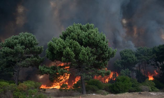 Por seis meses estarán prohibidas las quemas al aire libre; en 2022 el fuego afectó 26.000 hectáreas