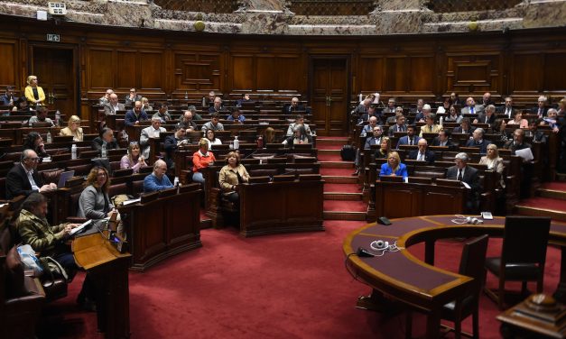 Las perlas de una interpelación caliente: desde “cola sucia”, “terrajadas”, hasta invitaciones para irse a las manos