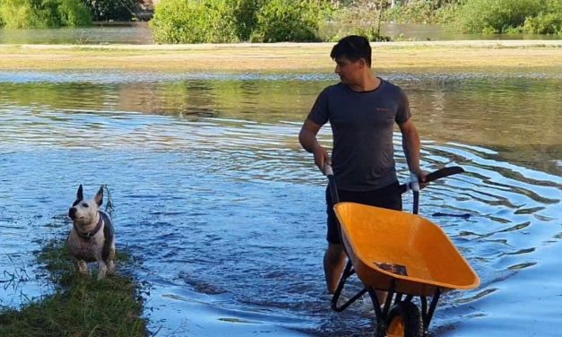 Inundaciones en el litoral: casi 200 personas dejaron sus hogares como consecuencia de la creciente del río Uruguay