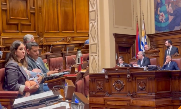 «Imagen tierna para reflexionar»: diputada del FA amamantó a su bebé durante sesión de Diputados