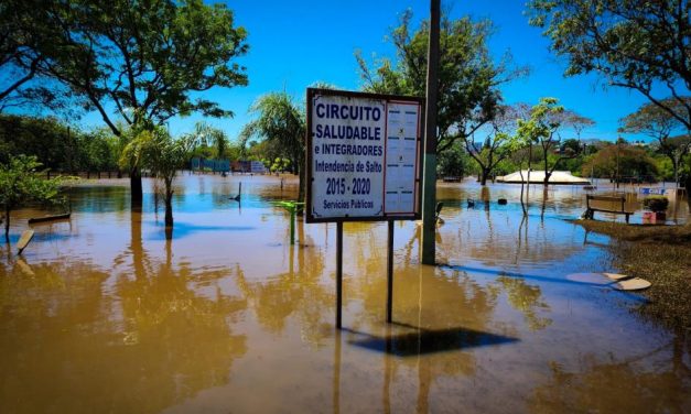 Se mantiene en más de 3.000 los desplazados por la crecida del río Uruguay que comienza a bajar