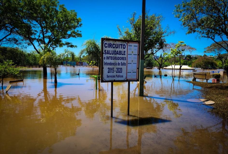 Se mantiene en más de 3.000 los desplazados por la crecida del río Uruguay que comienza a bajar