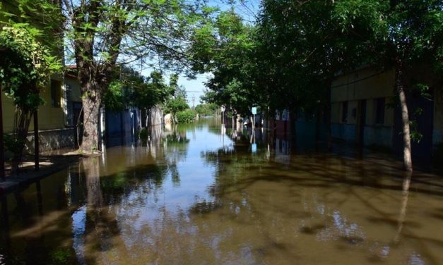 3.472 desplazados en Artigas, Salto y Paysandú mientras los ríos siguen descendiendo