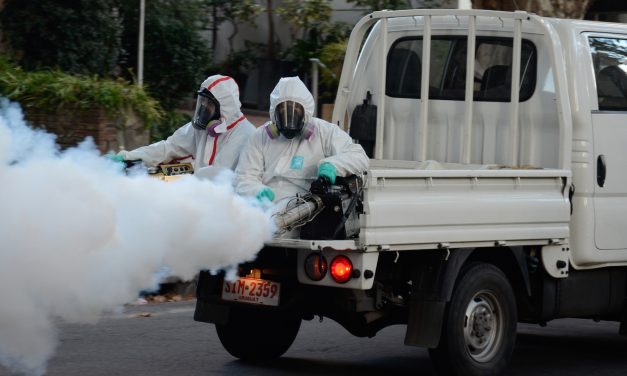 Crece preocupación tras invasión de mosquitos en Maldonado