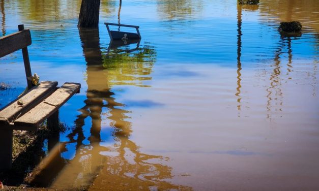 Artigas, Salto y Paysandú comenzaron operativo retorno tras inundaciones