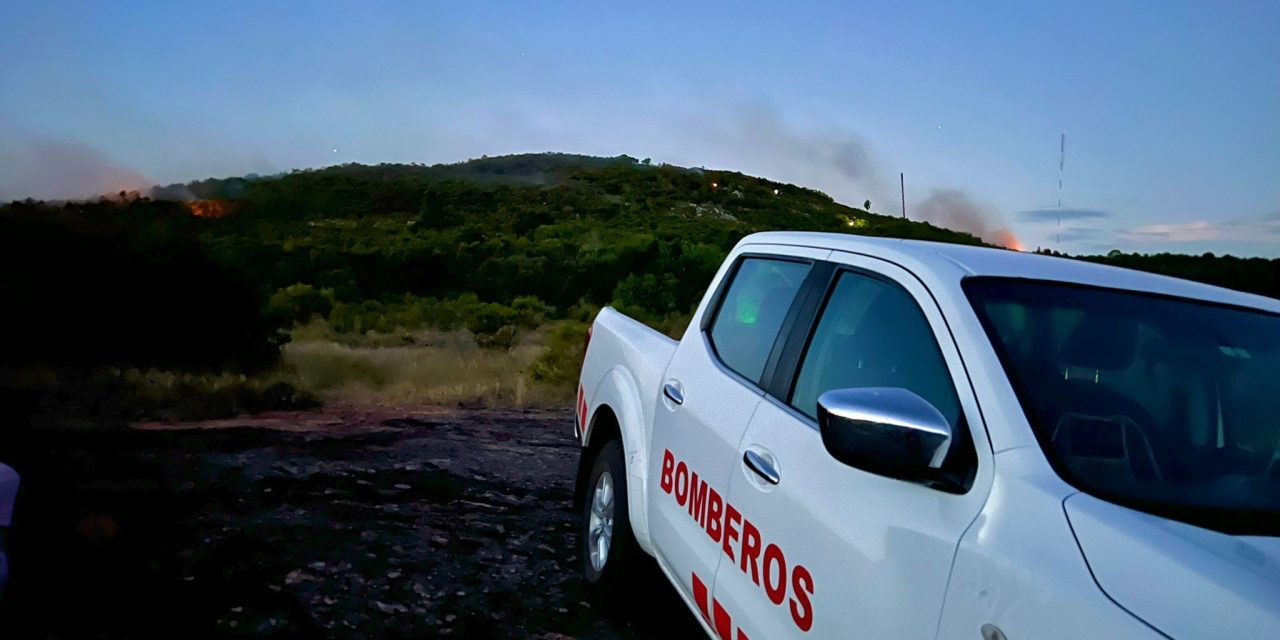 Incendio controlado en cerro Pan de Azúcar; Bomberos realiza tareas de enfriamiento