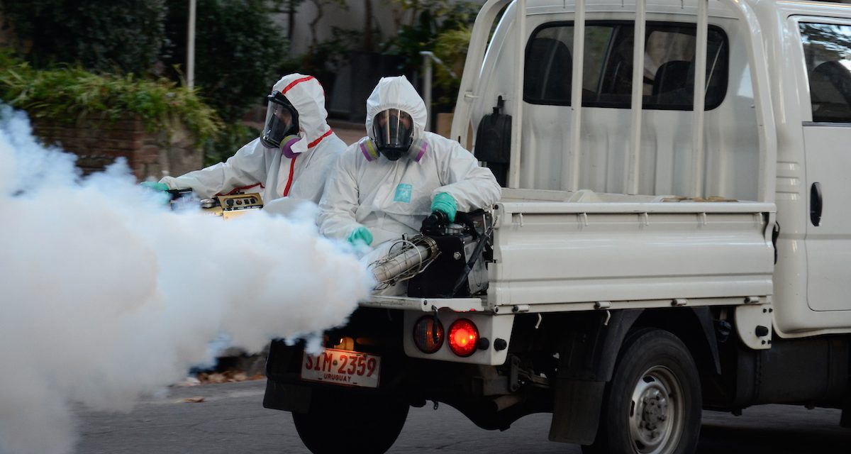 Ministerio de Salud Pública y autoridades locales coordinan acciones para combatir al dengue en Salto