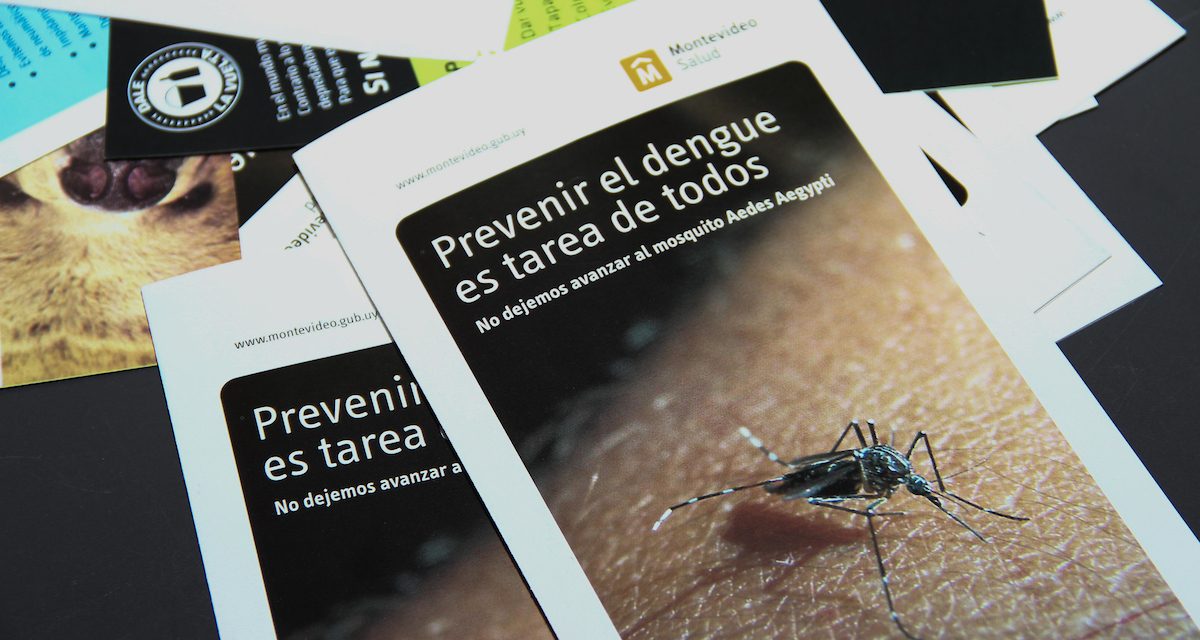 ¿Cómo se puede prevenir y cuáles son los síntomas del dengue?