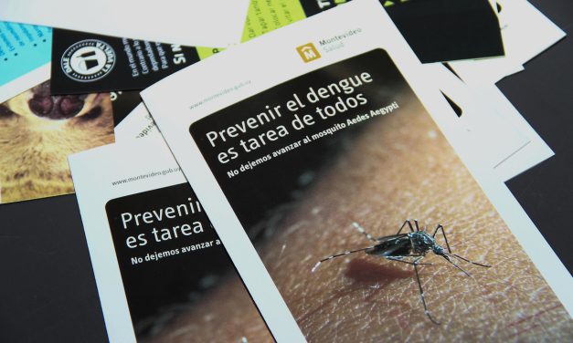 ¿Cómo se puede prevenir y cuáles son los síntomas del dengue?