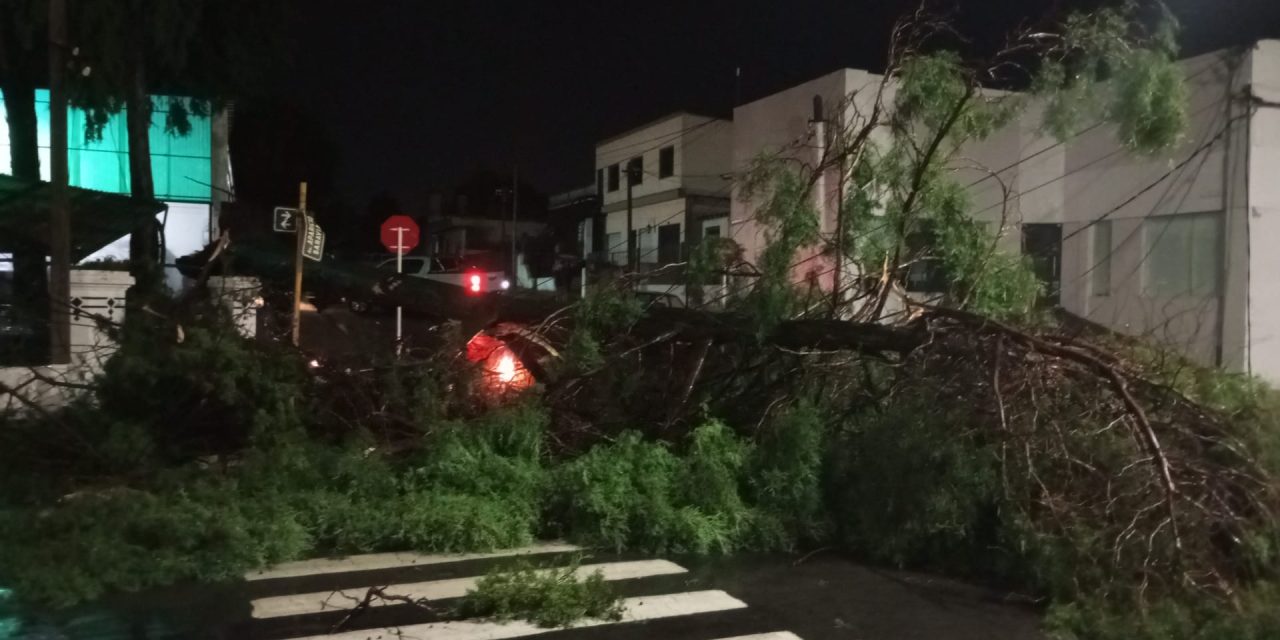 Florida: turbonada de 113 km/h provocó voladura de techos y caída de árboles
