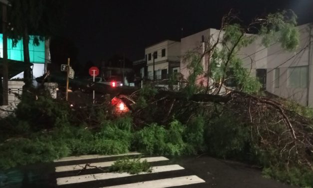 Florida: turbonada de 113 km/h provocó voladura de techos y caída de árboles