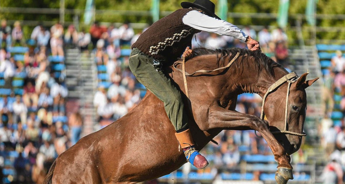 Un jinete está en CTI tras caer de un caballo en la última jornada del Prado