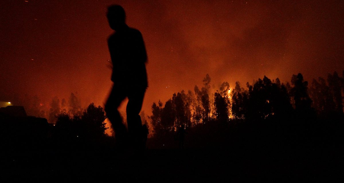 Históricos incendios en California dejan saldo de 24 personas fallecidas