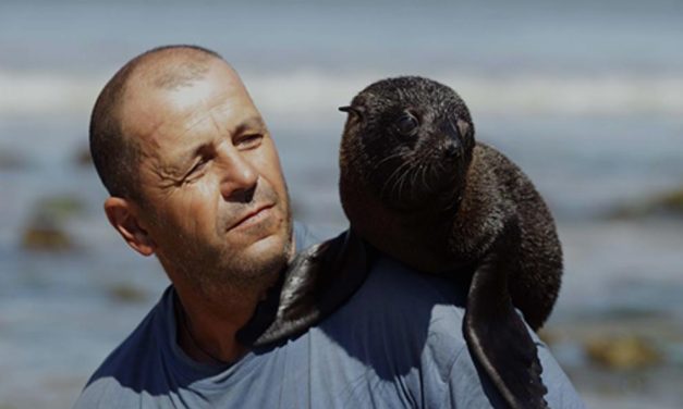 «Estamos depredando el Atlántico Sur», dijo fundador de SOS Fauna Marina, Richard Tesore