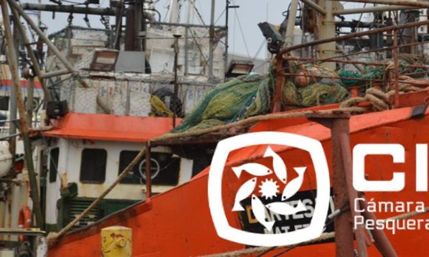 El paro del sindicato del Mar “es un capricho, una locura” dijo presidente de las Cámaras Pesqueras.