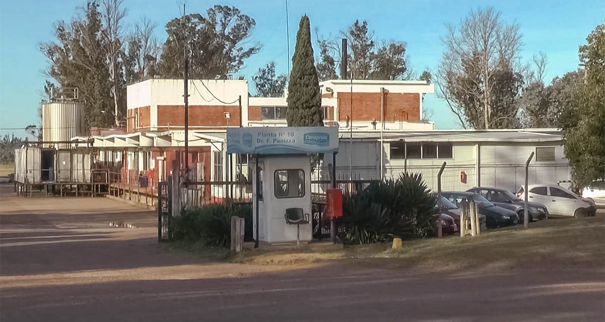 Sindicato de Conaprole desmiente el video donde productores presuntamente tiran leche
