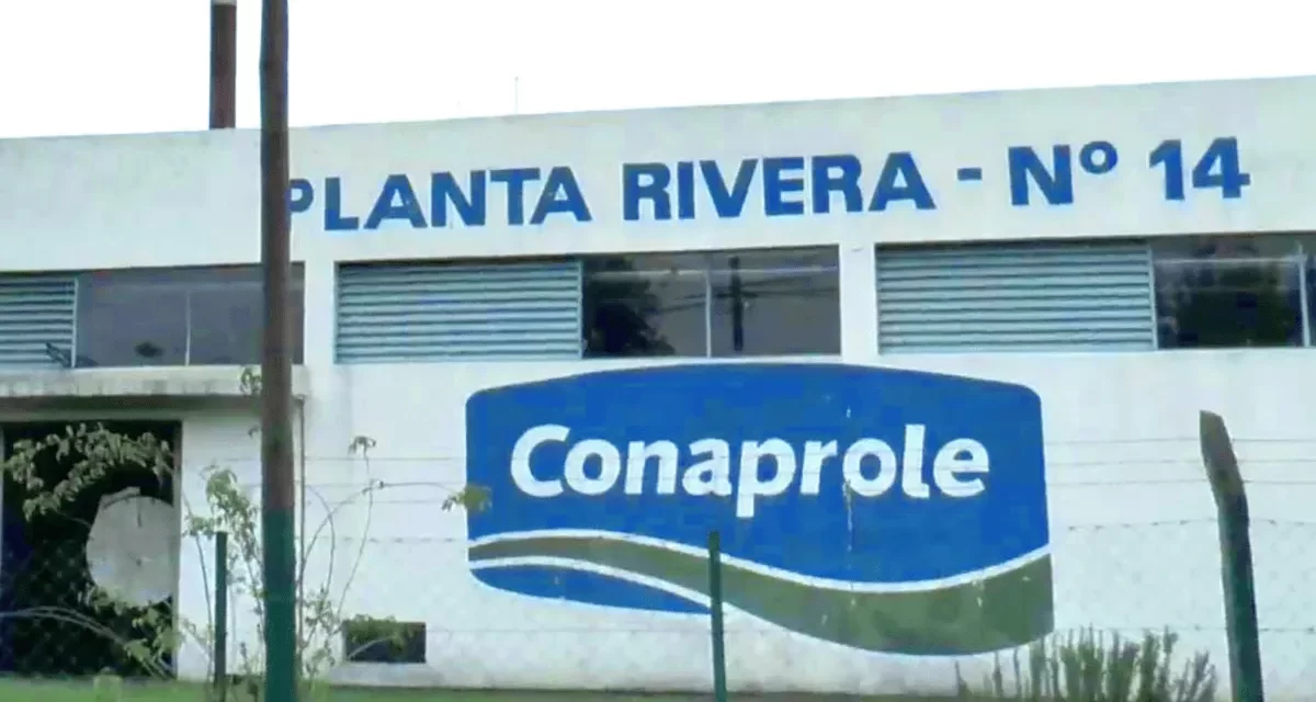 Sindicato de Conaprole negó que el supuesto desborde de leche denunciado por los productores se deba a medidas gremiales