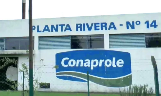 Sindicato de Conaprole negó que el supuesto desborde de leche denunciado por los productores se deba a medidas gremiales
