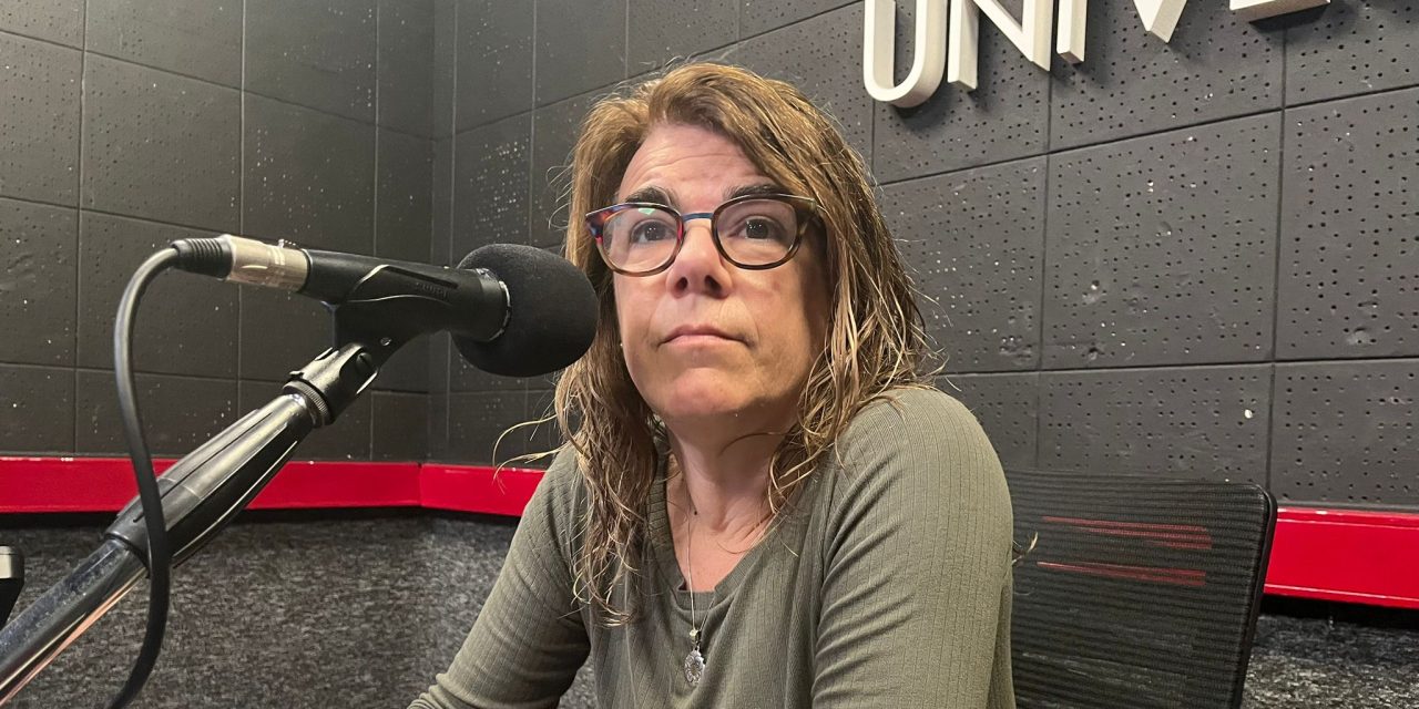 Silvia Nane planteó «revisar» los refugios peatonales «en función de información que estamos analizando»