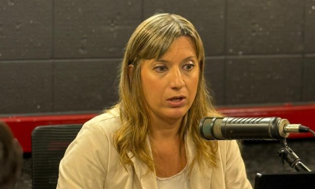 Directora de Cuidados propone un sistema de financiamiento mediante un fondo con aportes de empleadores, trabajadores y pasivos
