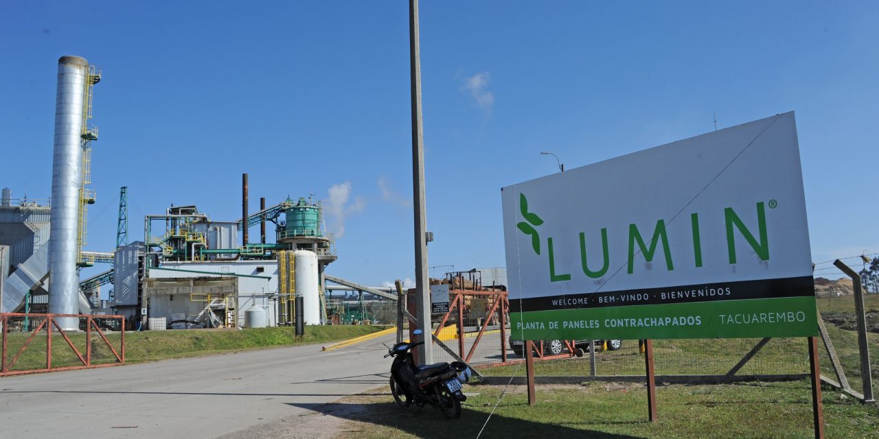 Dirigente sindical de Lumin explicó porqué la empresa envió 700 trabajadores al seguro de paro